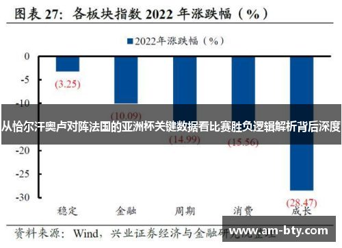 从恰尔汗奥卢对阵法国的亚洲杯关键数据看比赛胜负逻辑解析背后深度